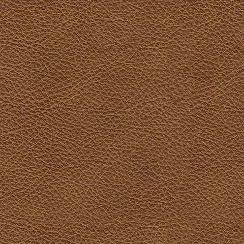Carianna Loveseat - Aumand's Furniture (North Walpole, NH) 
