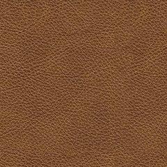 Carianna Sofa Sleeper - Aumand's Furniture (North Walpole, NH) 