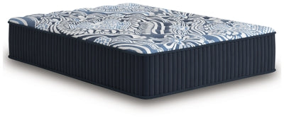 Firm Luxe 2.0 Mattress - Aumand's Furniture (North Walpole, NH) 