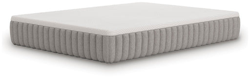 Terra Sleep Firm Mattress - Aumand's Furniture (North Walpole, NH) 