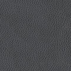 Next Move Power Reclining Sofa - Aumand's Furniture (North Walpole, NH) 