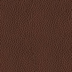 Next Move Power Reclining Sofa - Aumand's Furniture (North Walpole, NH) 